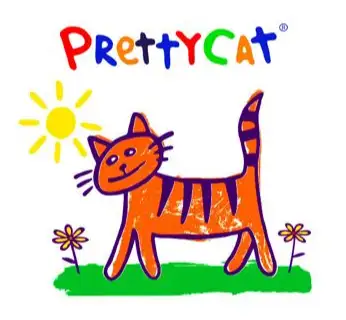 pretty cat